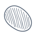 Finshastra Research Foundation